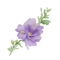violett blomma vattenfärg klämma konst png