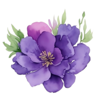 violet fleur aquarelle agrafe art png