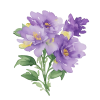 violet fleur aquarelle agrafe art png