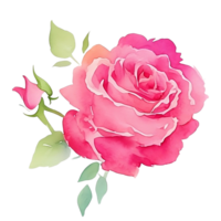 Rose Strauß Aquarell Clip Kunst png