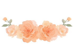 Peach roses bouquet clip art png