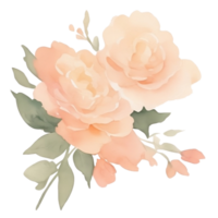 Peach roses bouquet clip art png