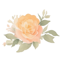 Peach roses bouquet clip art png