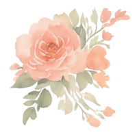 Peach roses bouquet clip art png