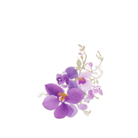 Violet orchid clip art png