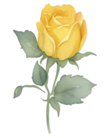 giallo mastard rosa png