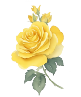 Yellow mastard rose png