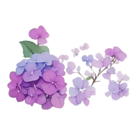 violet hortensia agrafe art png