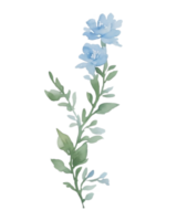 blå blomma klämma konst png