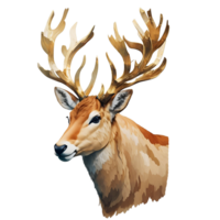 Reindeer head watercolor png