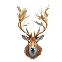 Reindeer head watercolor png