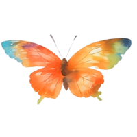 Butterfly watercolor clip cart or sticker png