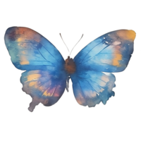 Butterfly watercolor clip cart or sticker png