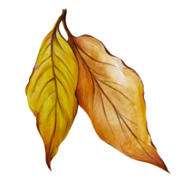 dry dead tree leaves illustration png