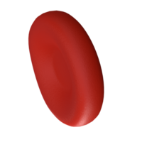 3d érythrocyte ou rouge du sang cellule médicament isolé transparent png. réaliste image de hémoglobine pour hématologie, microbiologie santé Humain illustration png
