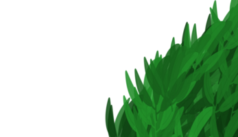 Leaf nature element png