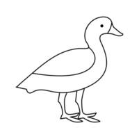 continuous single line drawing of duck water bird vector art illustration