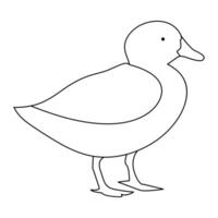 continuous single line drawing of duck water bird vector art illustration