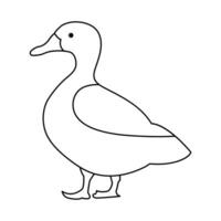 continuous single line drawing of duck water bird vector art illustration