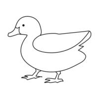 continuous single line drawing of duck water bird vector art illustration