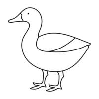 continuous single line drawing of duck water bird vector art illustration