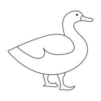 continuous single line drawing of duck water bird vector art illustration