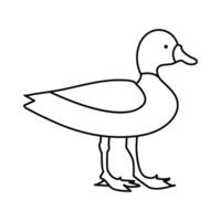 continuous single line drawing of duck water bird vector art illustration