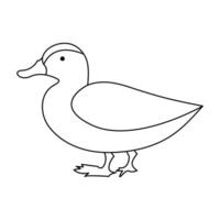 continuous single line drawing of duck water bird vector art illustration