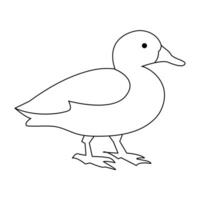 continuous single line drawing of duck water bird vector art illustration