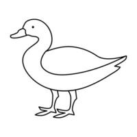 continuous single line drawing of duck water bird vector art illustration