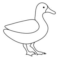 continuous single line drawing of duck water bird vector art illustration