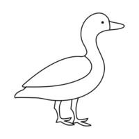 continuous single line drawing of duck water bird vector art illustration