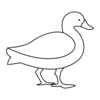 continuous single line drawing of duck water bird vector art illustration