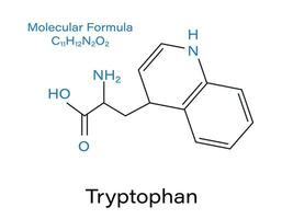 Tryptophan biochemistry Structural, Nutritional, Metabolic molecule skeletal formula. Vector