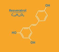 Resveratrol molecule skeletal formula vector illustration.