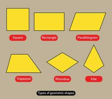 Types of geometric shapes quadrilateral shapes names vector illustration.