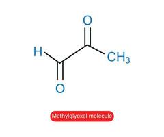 metilglioxal piruvaldehído molécula esquelético fórmula vector ilustración.