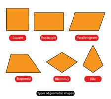 Types of geometric shapes quadrilateral shapes names vector illustration.