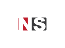 iniziale ns piazza png logo Immagine, creativo forma lettera ns logo icona vettore png