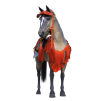 hosse Tier isoliert 3d png