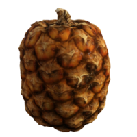 pineapple fruit isolated 3d png