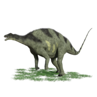 Dinosaur isolated 3d png