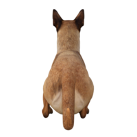 hund isolerat 3d png