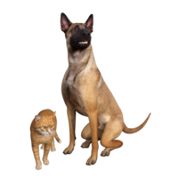 chien et chat copains png