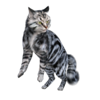 kat geïsoleerd 3d png