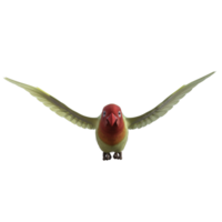 periquito animal aislado 3d png