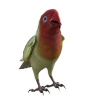 periquito animal isolado 3d png