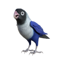 periquito animal isolado 3d png