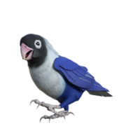 periquito animal isolado 3d png