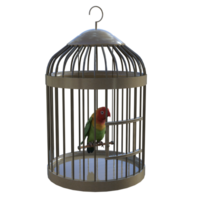 gabbia per uccelli isolato 3d png